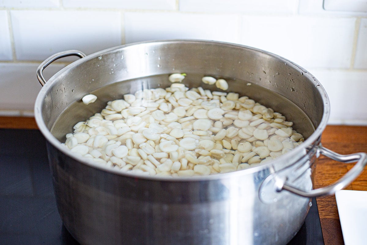 Cacahuazintle corn in a pot to make pozole hominy.