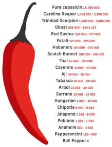 Poblano Vs Jalapeno: Which Is Hotter? Complete Review - Maricruz Avalos