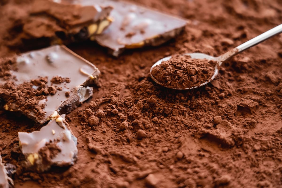 Closeup of cocoa powder.
