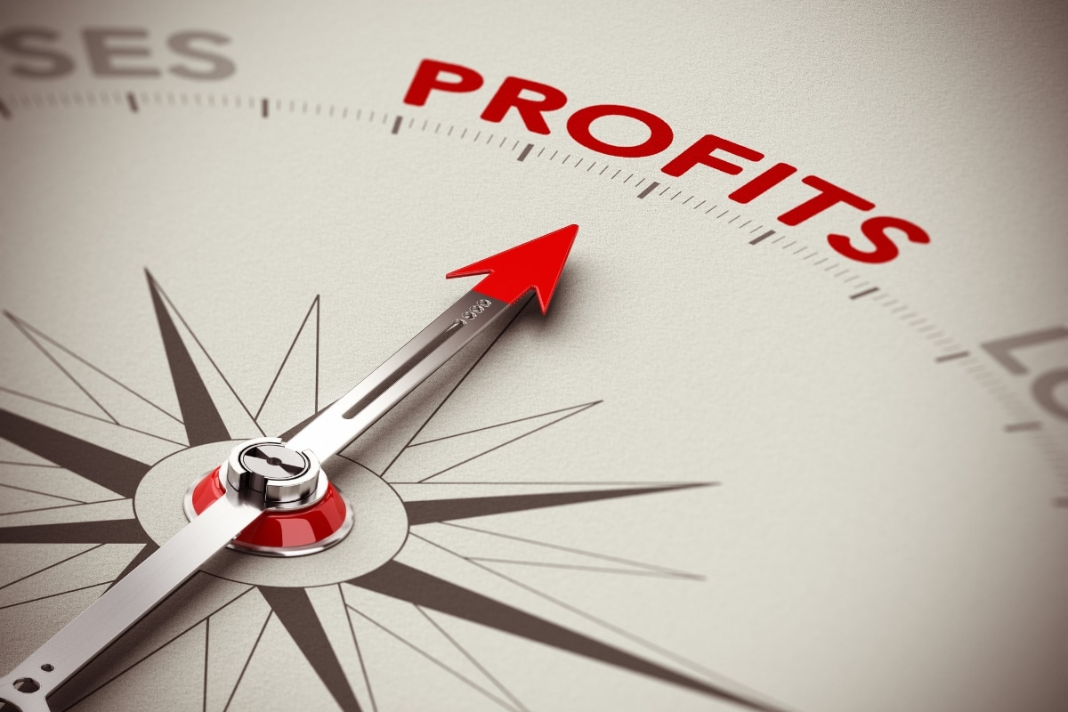 Arrow pointing to the word profit.