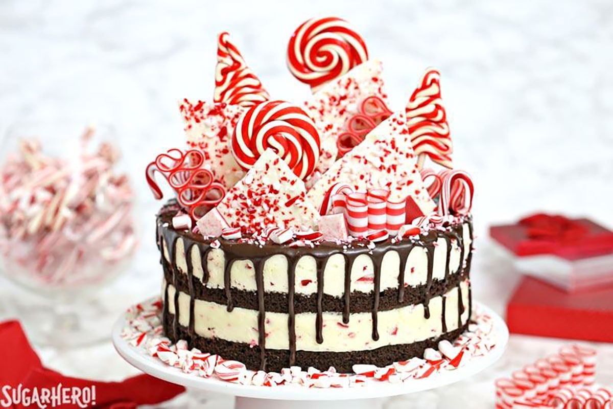 A cake with layers of mousse and peppermint candy.